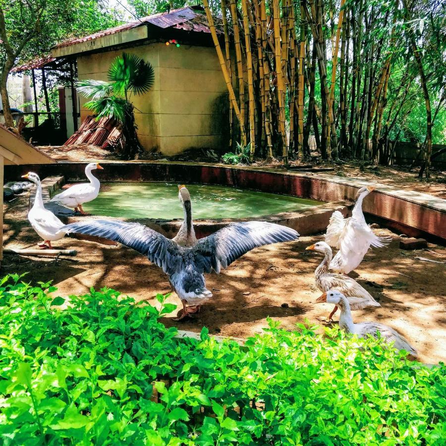 Dew Drops Boutique Retreat Otel Igatpuri Dış mekan fotoğraf